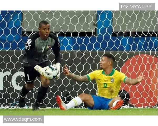 日本与委内瑞拉激战赛场精彩瞬间及最终赛果分析