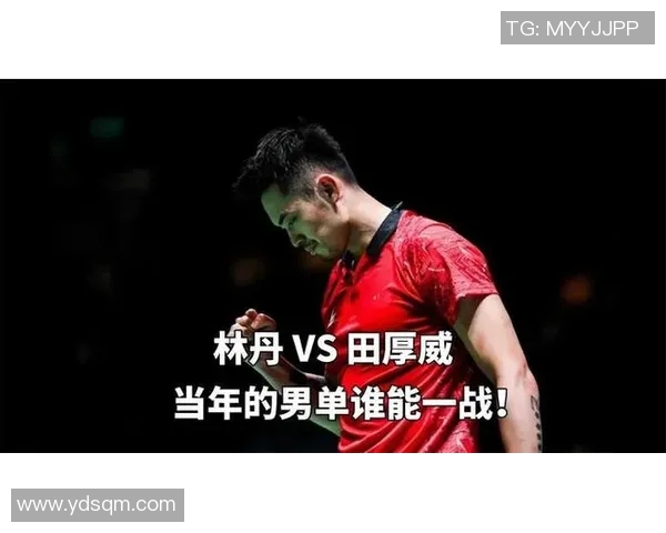 林丹与田厚威2014年巅峰对决回顾：羽坛传奇的精彩瞬间与战术解析