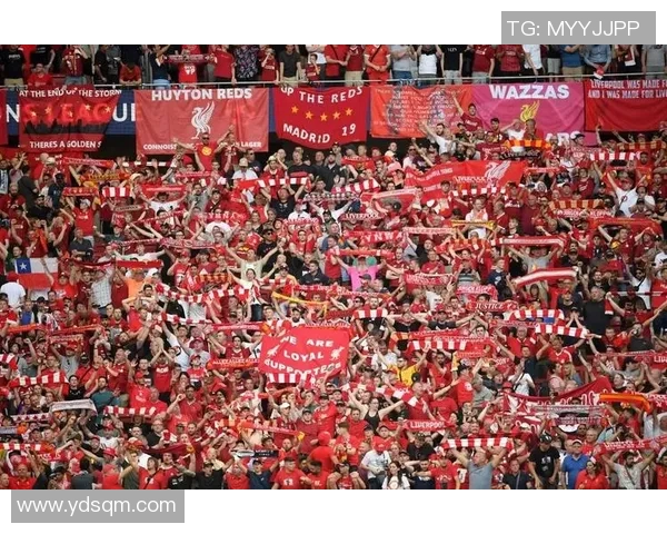 欧冠门票系统瘫痪数万球迷苦等12小时只为一张票