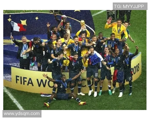 法国与美国比赛阵容分析及球员表现对比探讨