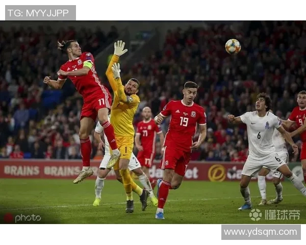 威尔士对阿塞拜疆精彩比赛视频回顾与分析尽在这里