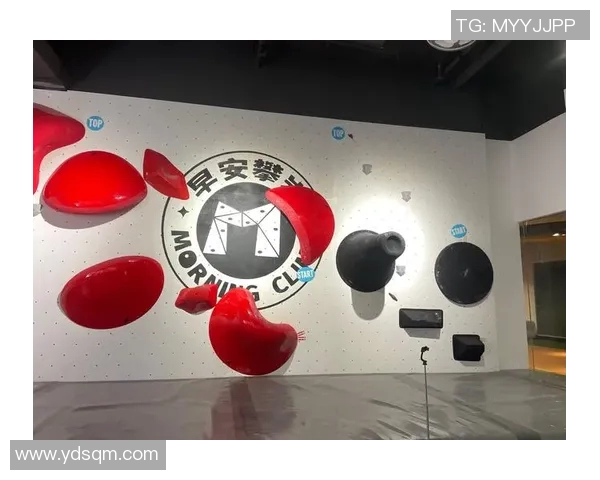 成都攀岩队状态分析与未来发展展望聚焦攀岩运动的热潮与挑战MBA