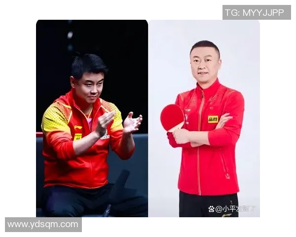 2007年王皓与马琳巅峰对决乒乓球赛精彩回顾与分析 2007年王皓与马琳巅峰对决乒乓球赛精彩回顾与分析