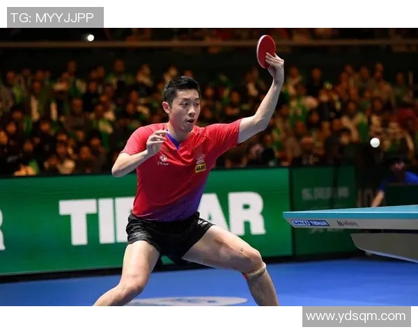 南京羽毛球队意识表现的数据分析与提升策略探讨 南京羽毛球队意识表现的数据分析与提升策略探讨