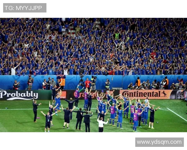 比利时与冰岛精彩对决集锦回顾球迷必看精彩瞬间