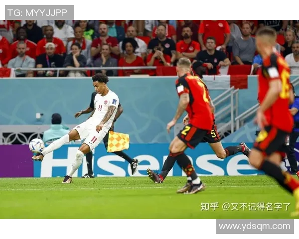 瑞典与法国上半场精彩对决分析及战术解读 瑞典与法国上半场精彩对决分析及战术解读