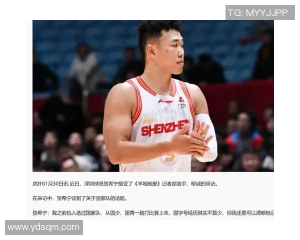 贺希宁：从篮球新星到职业生涯的璀璨之路探秘