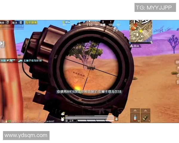 探讨FPX在和平精英中的心理素质与团队表现的关系